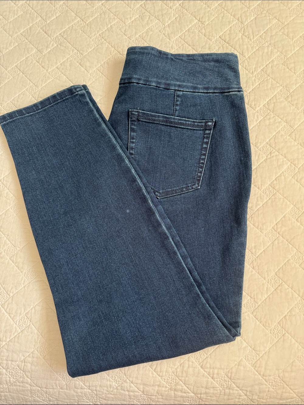 Charter Club Dark Blue Stretch skinny ankle